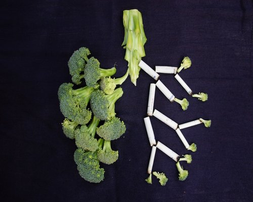broccoli rich in calcium